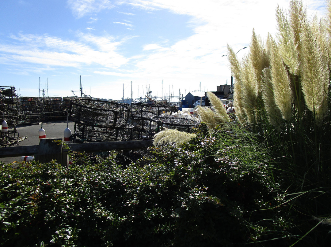 Newport Bay Fishing Pier-纽波特必去景点
