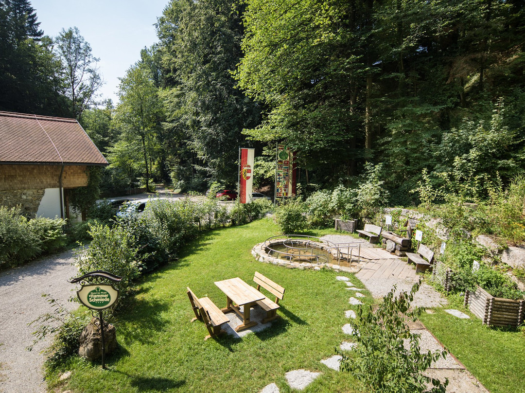 Naturidyll Hotel Hammerschmiede主图