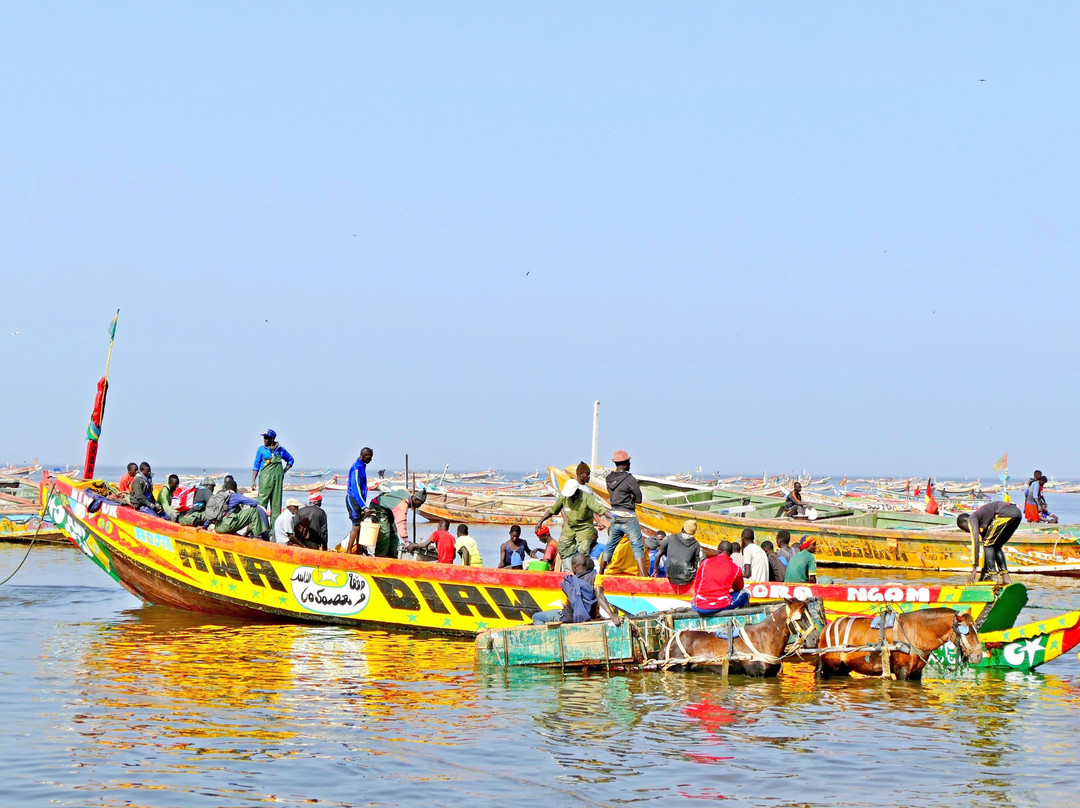 Happy Excursions Senegal景点图片