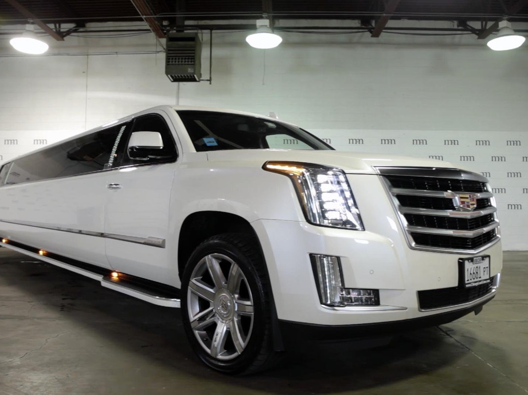 M&M Limousine &  Bus Service-德斯普兰斯必去景点