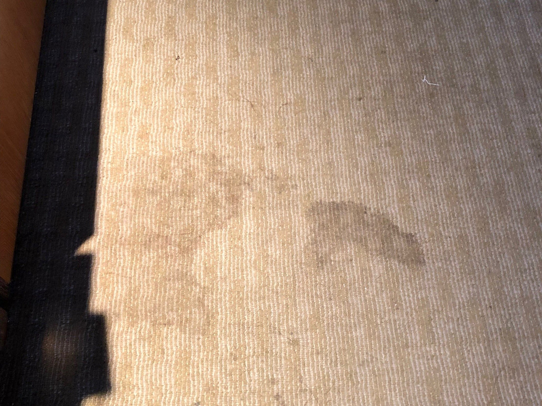 凤湖烟柳度假酒店主图