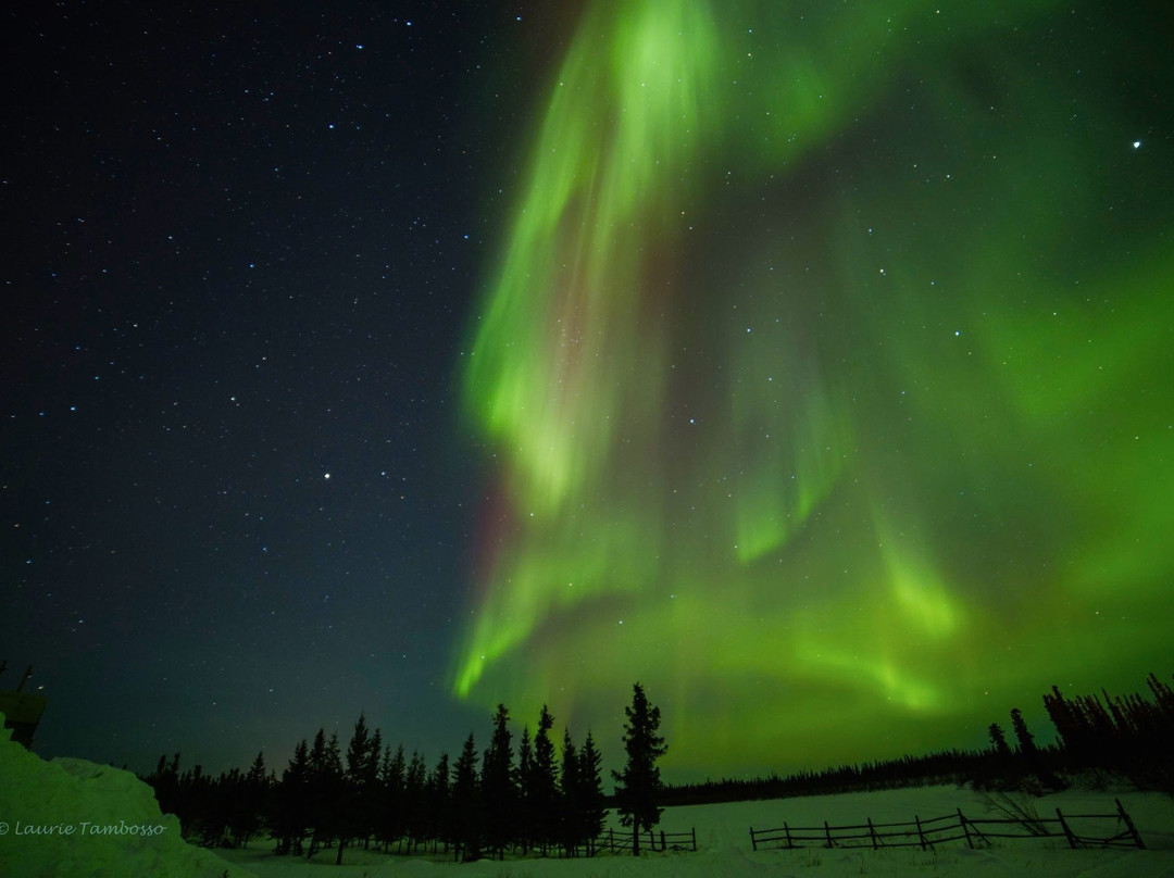 The Arctic Chalet Resort主图