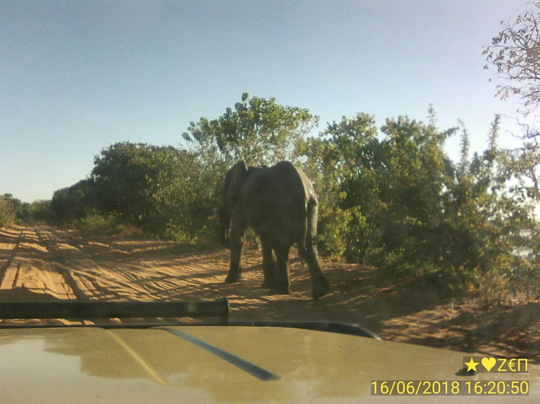 Tropical tours safaris-Chobe-卡萨尼必去景点