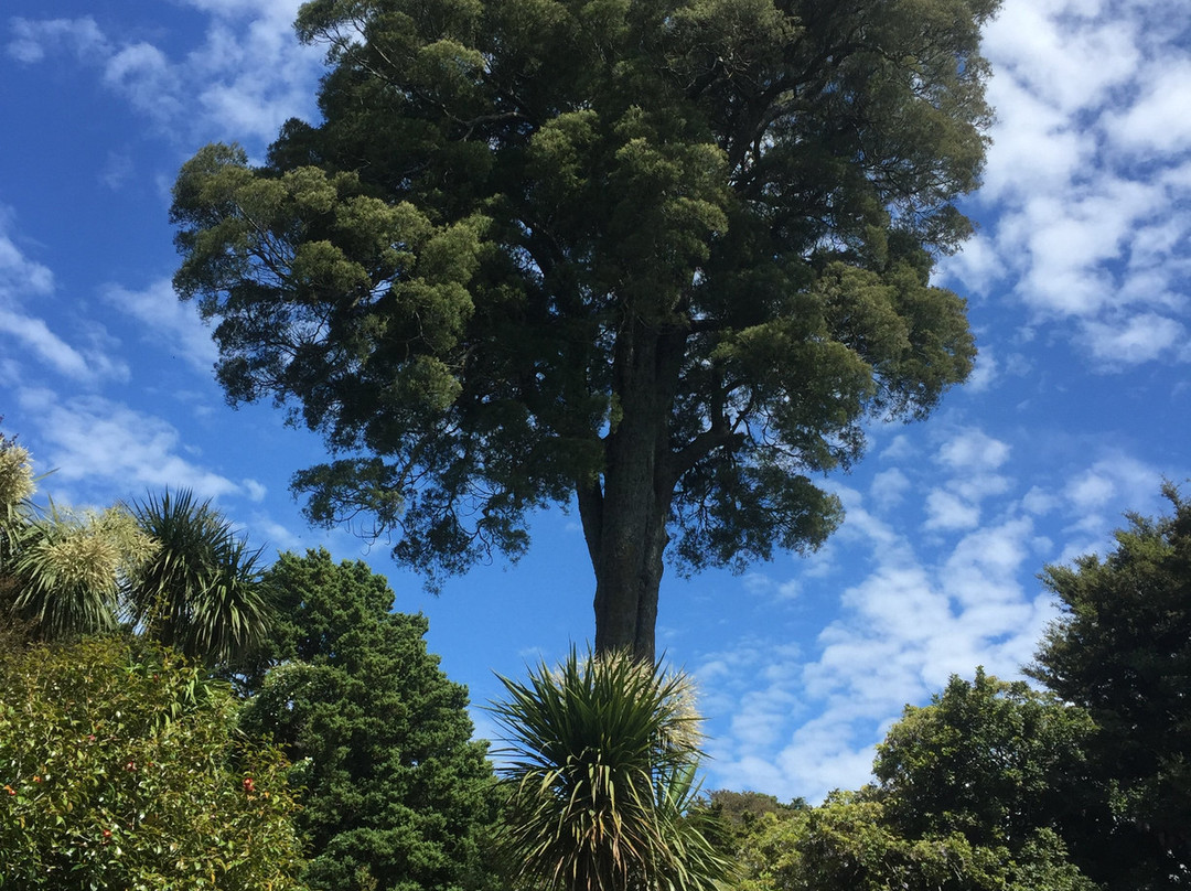 Kahikatea Gardens景点图片