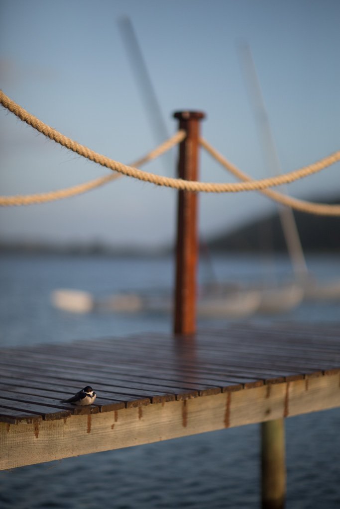 Pine Lake Marina-浴室