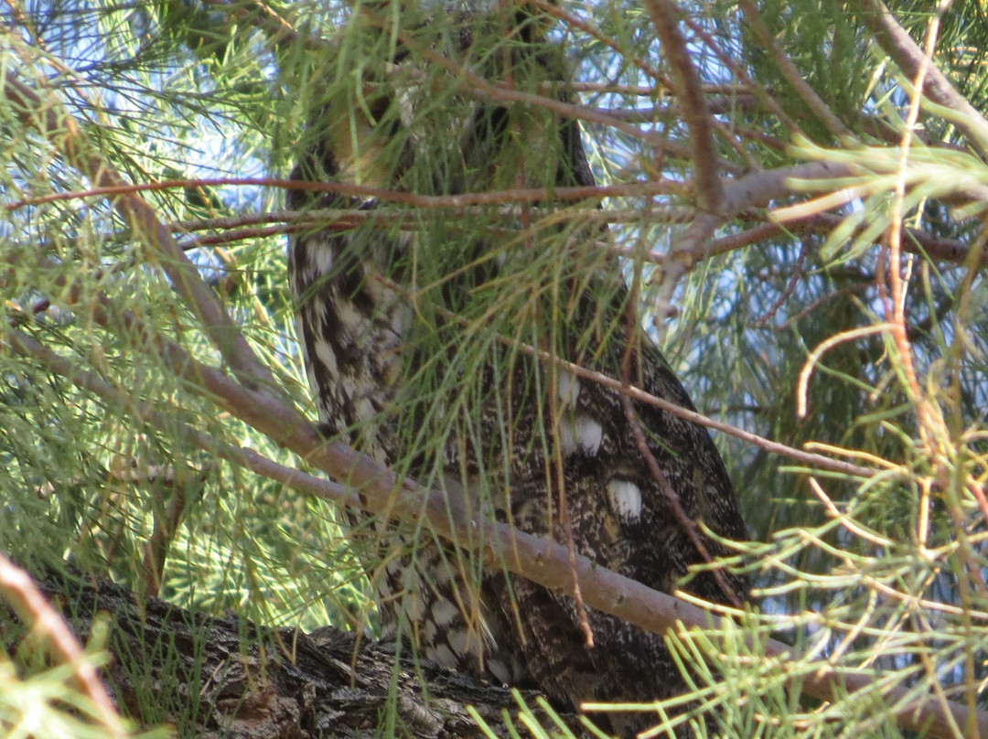Panoche Hills Ecological Reserve-霍利斯特必去景点
