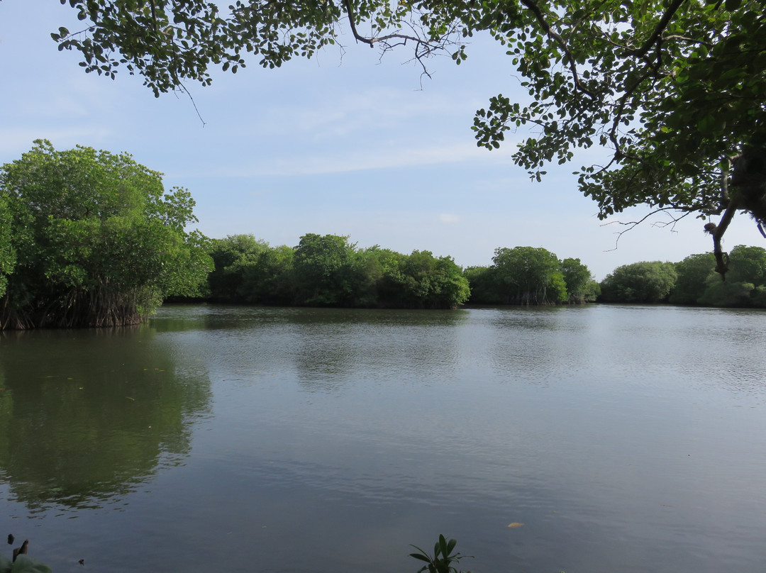 Tangalle Lagoon景点图片