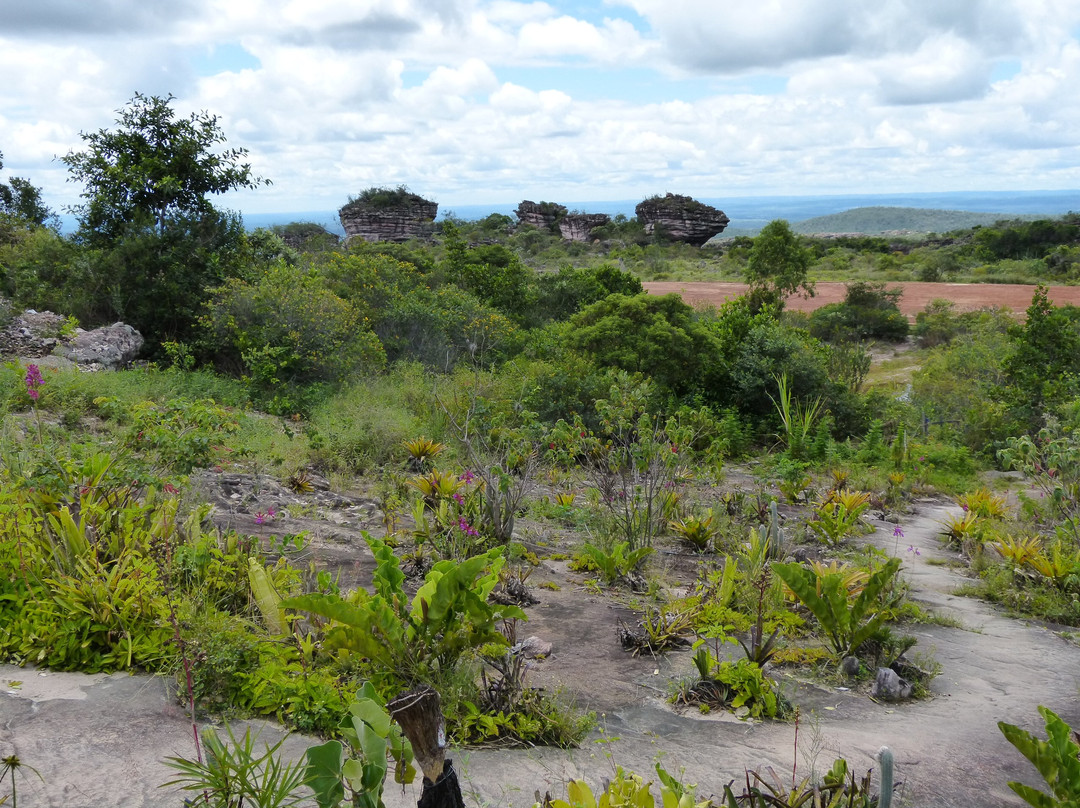 Garimpo da Verruga-Igatu必去景点