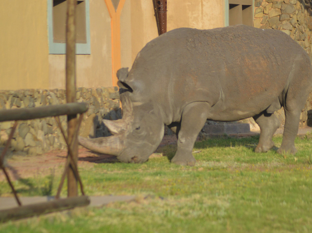 Emoya Basotho Lodge & Spa主图