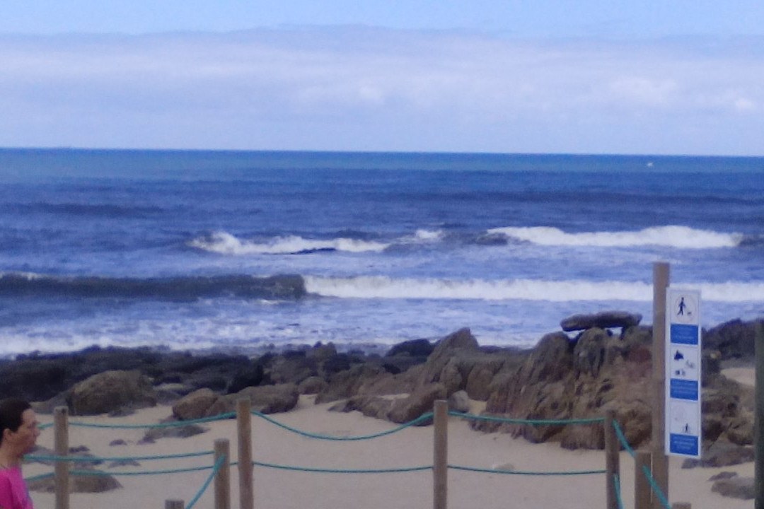 Praia da Madalena-加亚新城必去景点