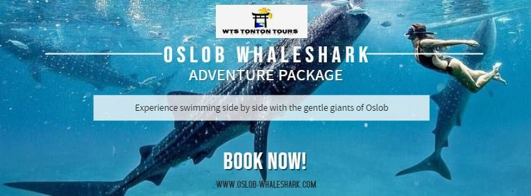 Oslob Whalesharks-奥斯洛布必去景点