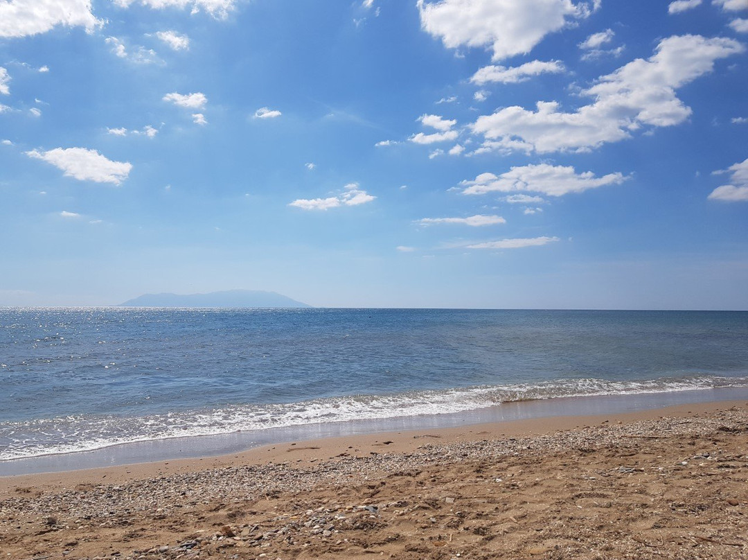 Alexander Beach Hotel & Spa主图