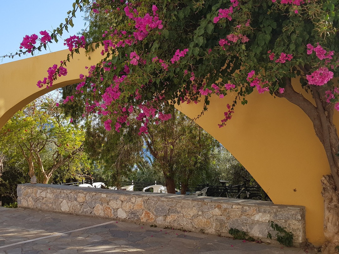 荷莱恩海滩酒店主图