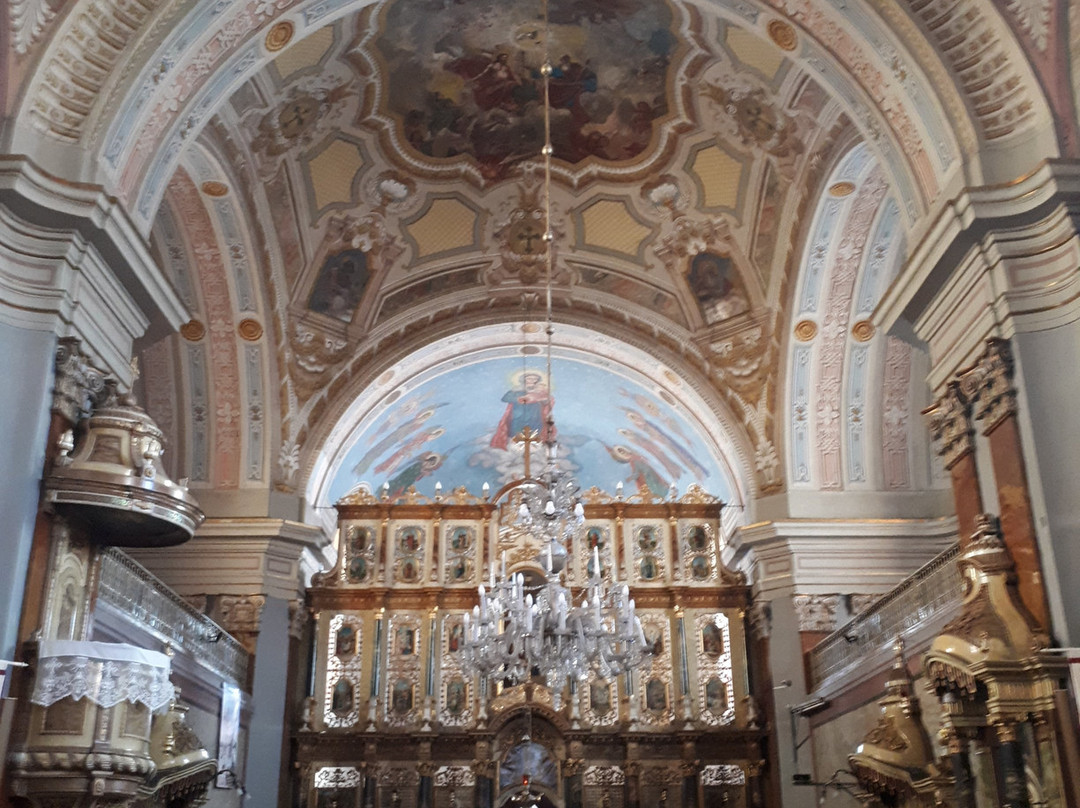 Catedrala Greco-Catolică Sfântul Nicolae景点图片