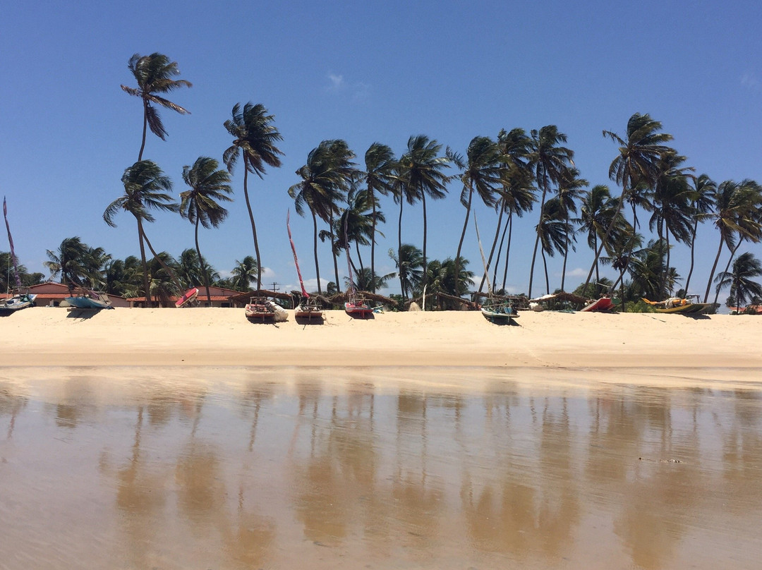 Carnaubinha Beach景点图片