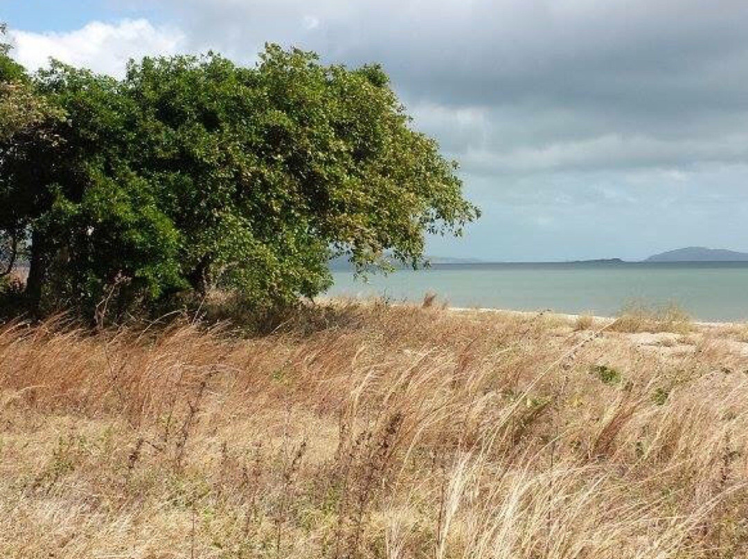 Cape Melville National Park景点图片