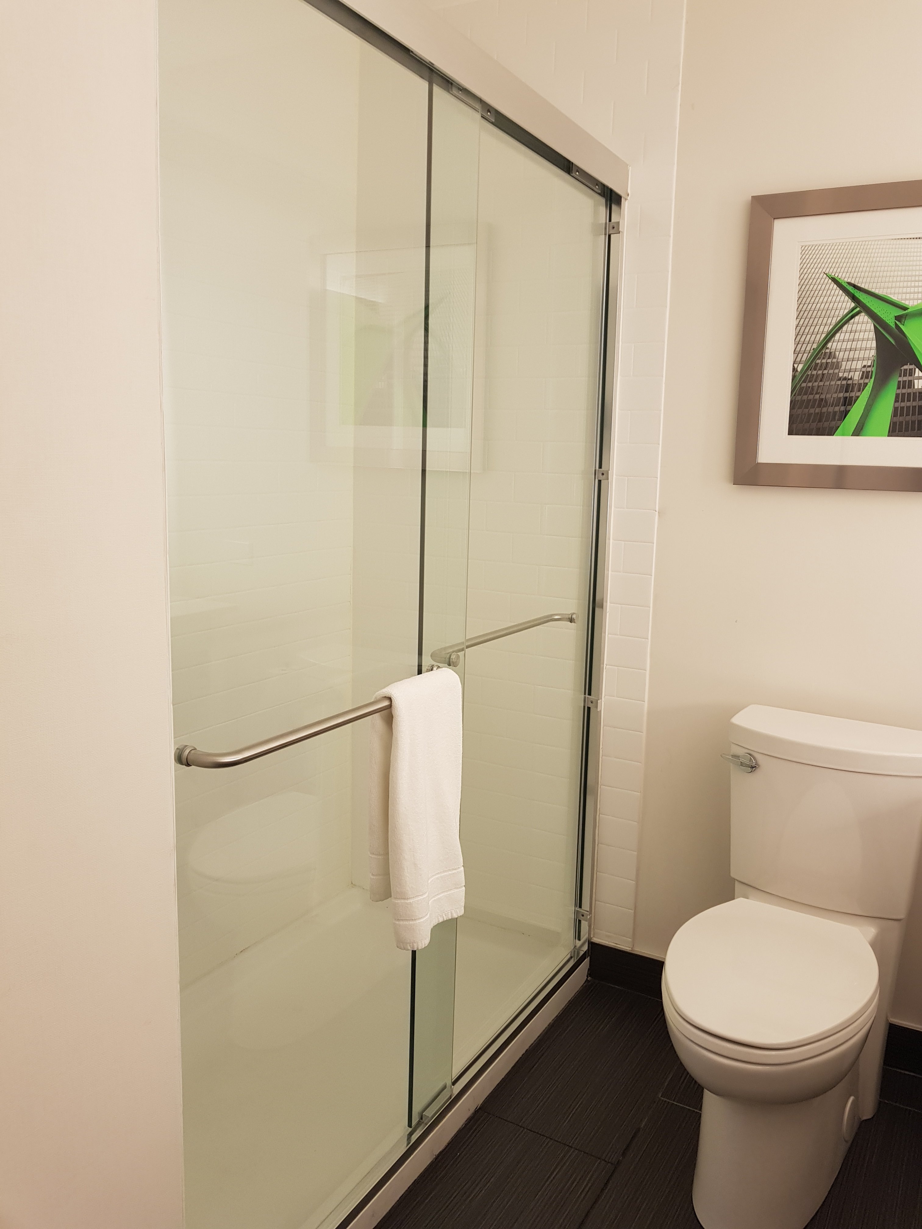 Four Points by Sheraton Mount Prospect O’Hare-浴室