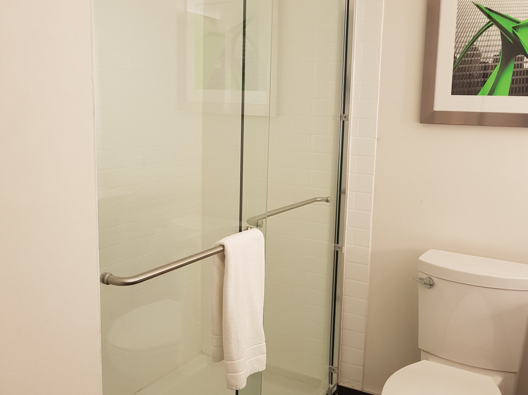 Four Points by Sheraton Mount Prospect O’Hare主图