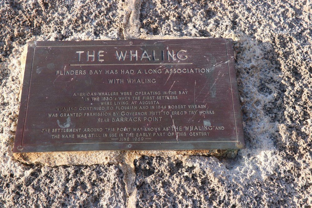 Whale Rescue Memorial景点图片