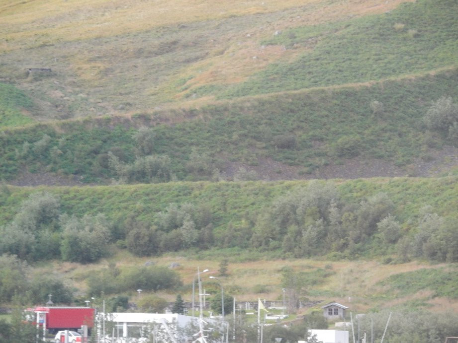 The Avalanche Protection Wall of Flateyri景点图片