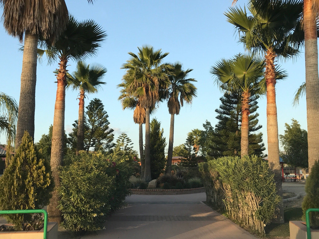 Zoologico Parque del Nino景点图片