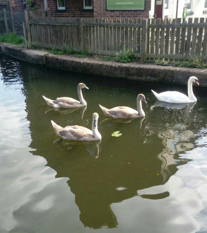 Erewash Valley Trail-Beeston必去景点
