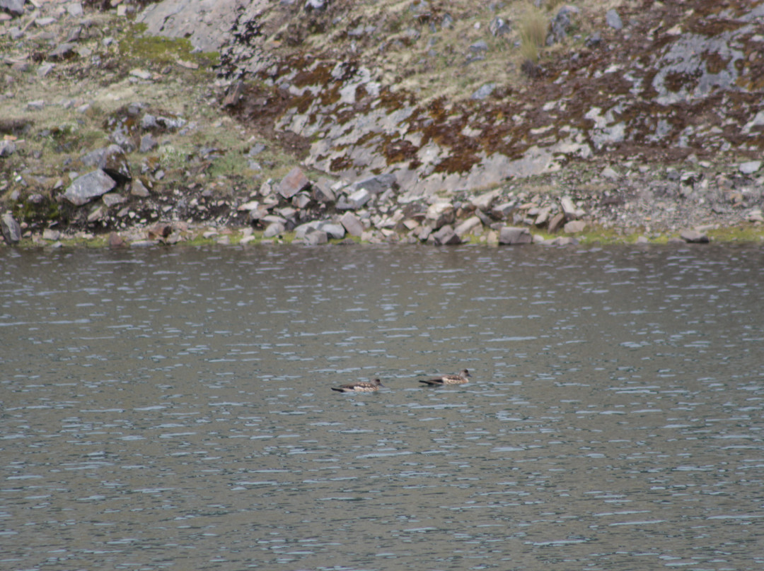 Laguna Chilata-Sorata必去景点