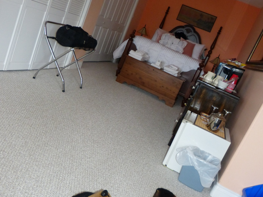 Eagle's Nest B&B主图