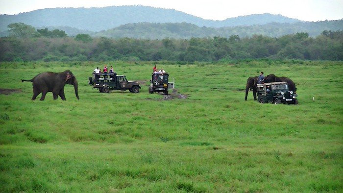 Winmi Safari-哈巴拉娜必去景点
