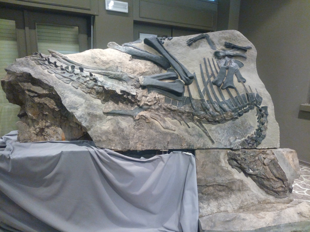 Sito Paleontologico Dinosauro Antonio景点图片