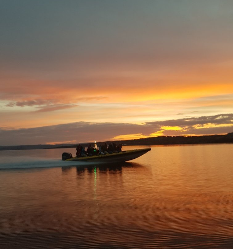 Rib Safari On Lake Mjoesa - Day trips-哈马尔必去景点
