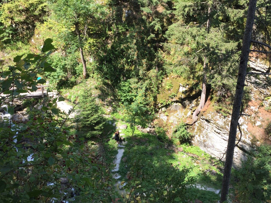 Gartl Wasserfall景点图片
