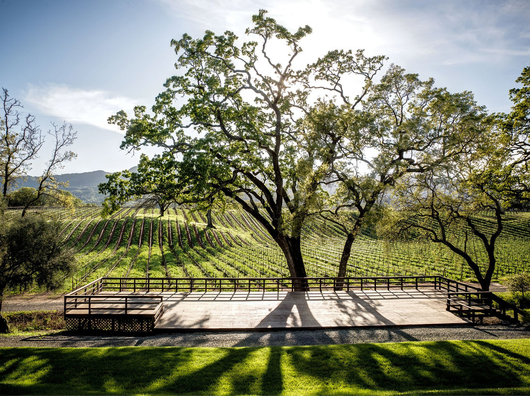 B.r. Cohn Winery景点图片