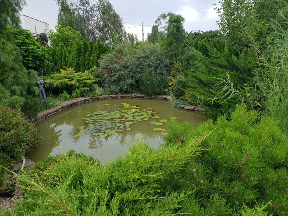 Na senovale, Eko-lager'