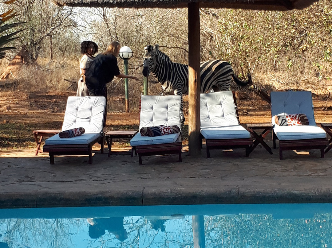 皇家克鲁格旅舍主图