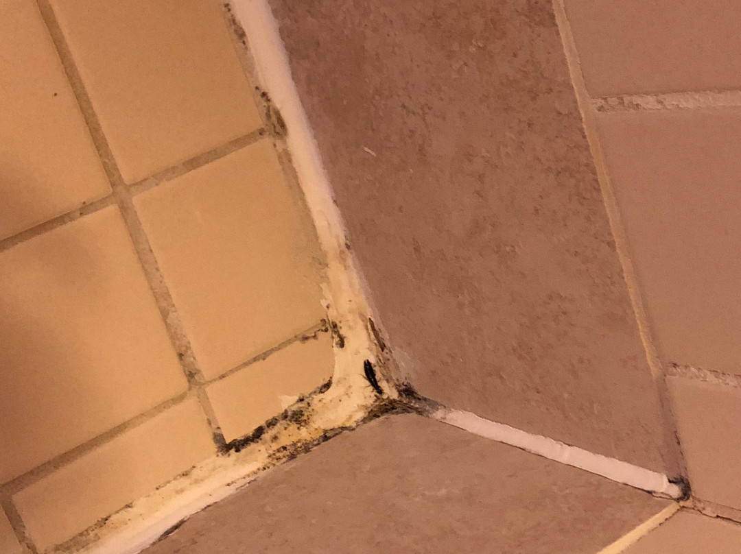 Residence Inn By Marriott Wichita East At Plazzio主图