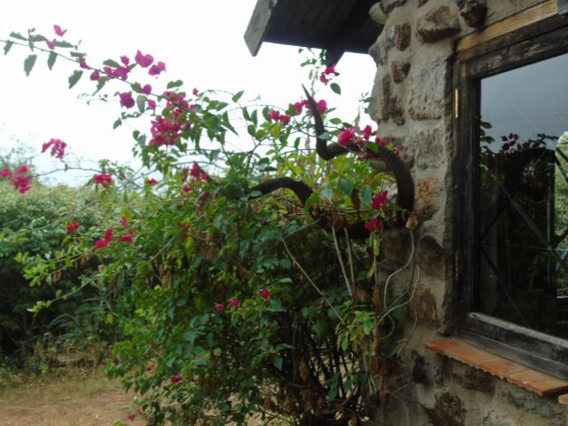 Silole Sanctuary-内罗毕必去景点