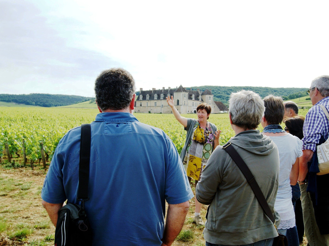 Clos de Bourgogne景点图片