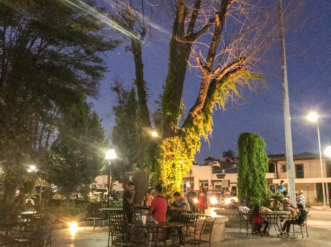 Parque Miguel Hidalgo-Tecate必去景点