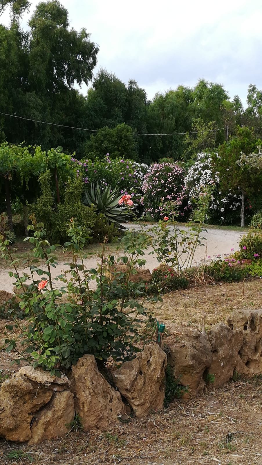 Serraona-酒店景观