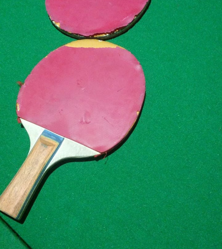 南棕榈海滩度假村主图