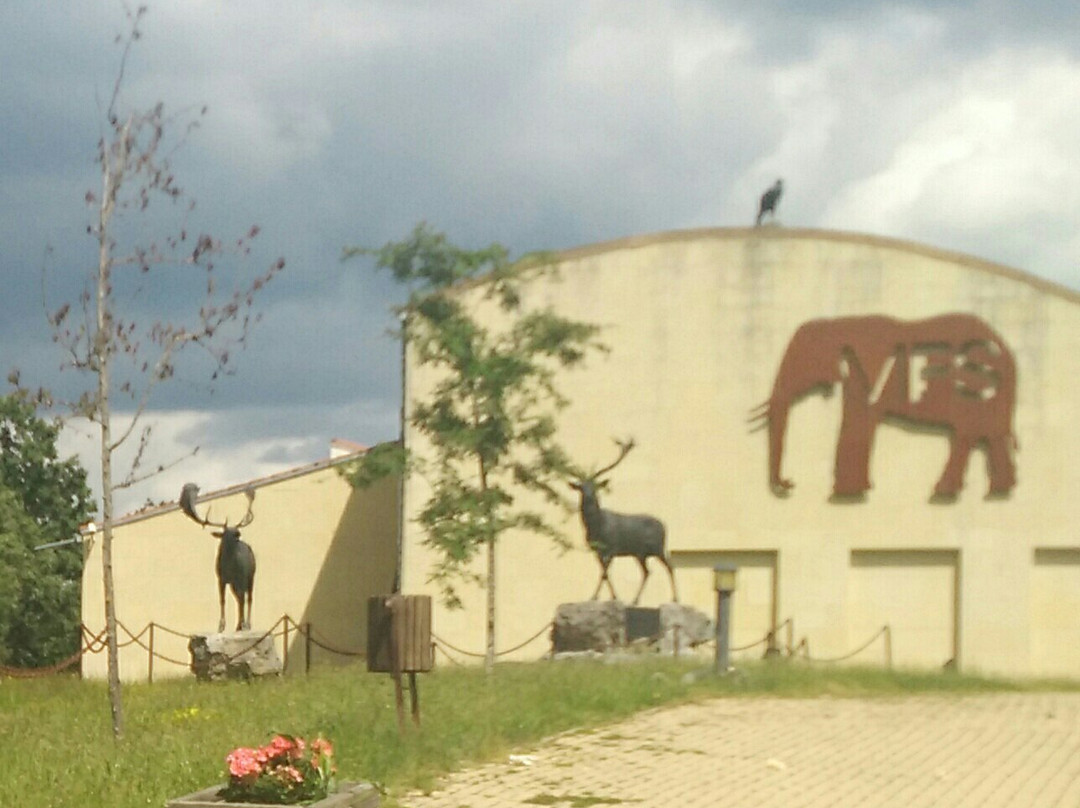 Museo de la Fauna Salvaje-Bonar必去景点