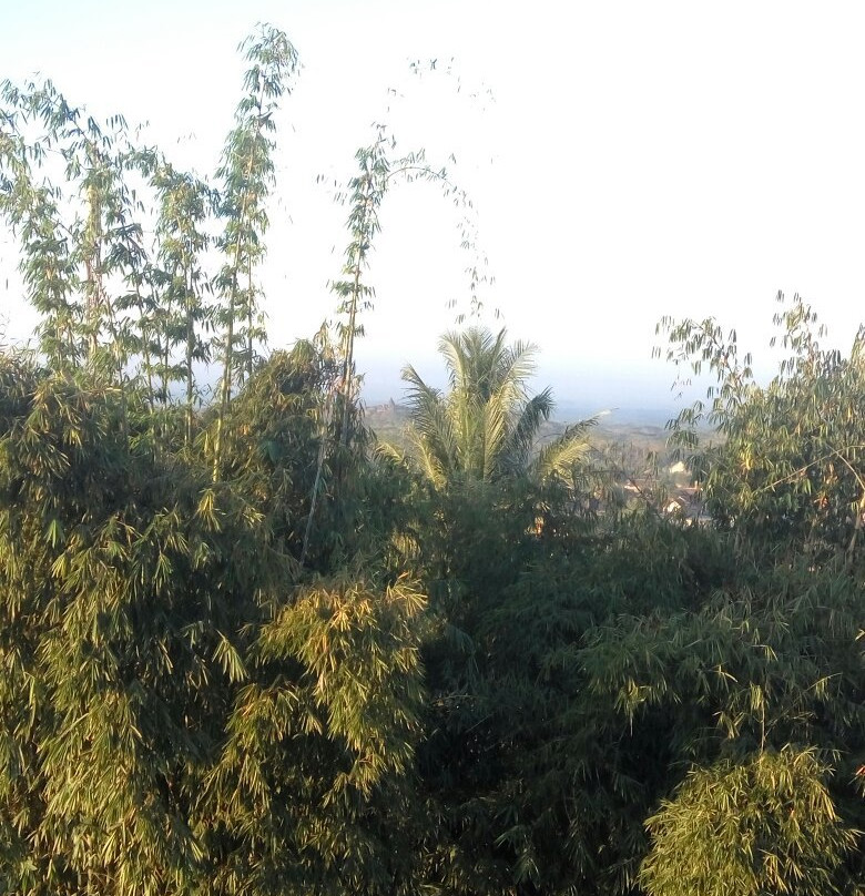 Borobudur Hills主图