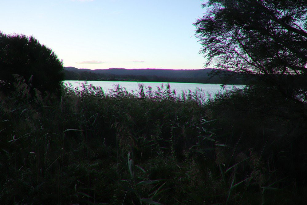 Lake Curalo Boardwalk景点图片