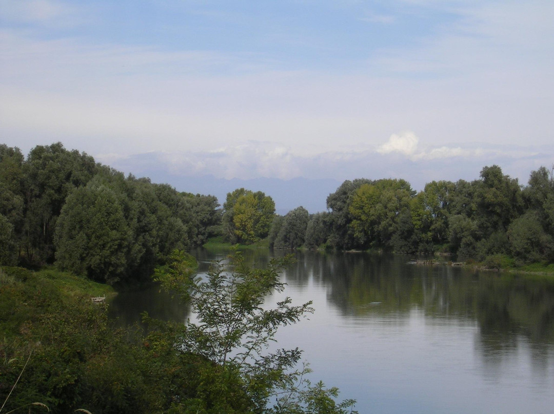 Parco Naturale dell'Adige景点图片