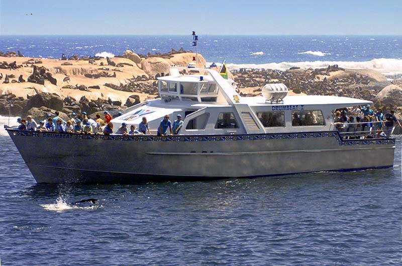 Drumbeat Charters-木湾必去景点