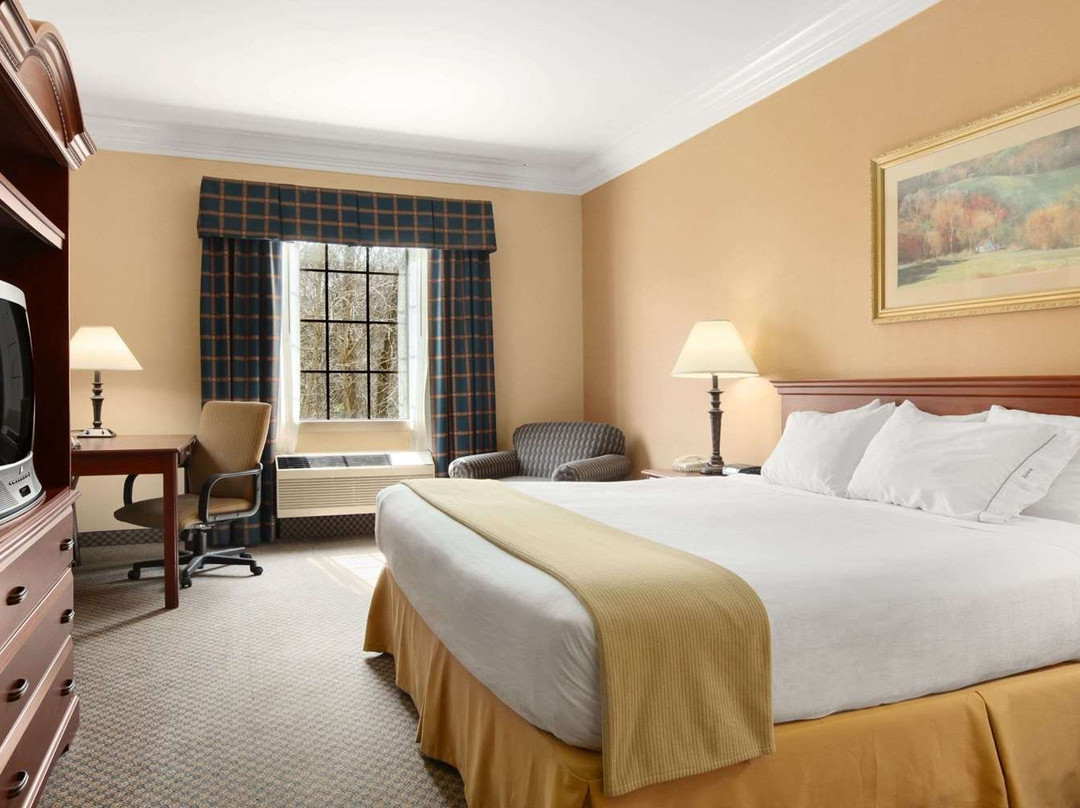 奥尔塔菲斯塔戴斯酒店主图