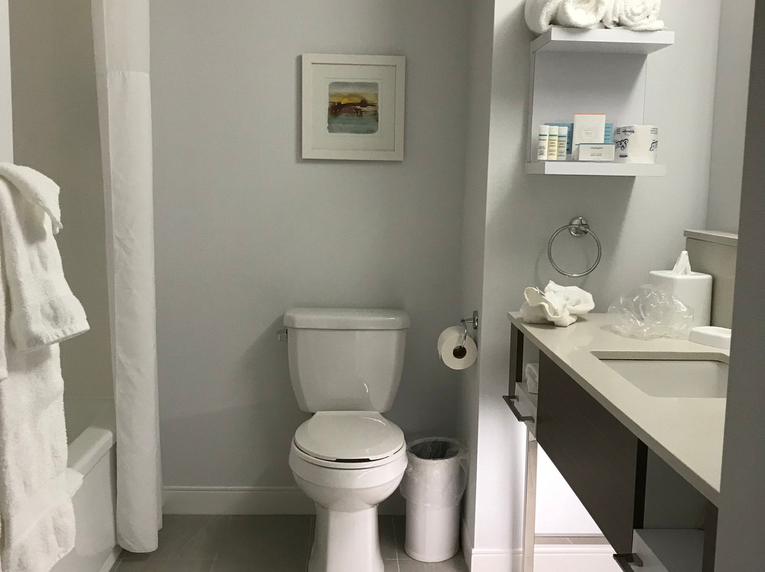 Hampton Inn & Suites By Hilton Quebec City Levis主图