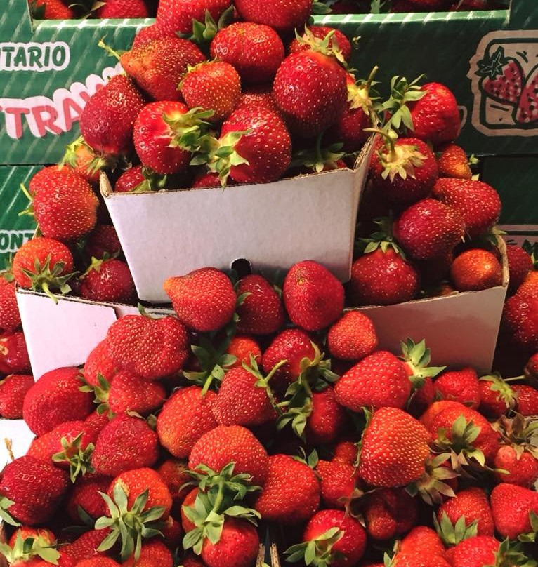 Elberta Farms Country Market-Paris必去景点