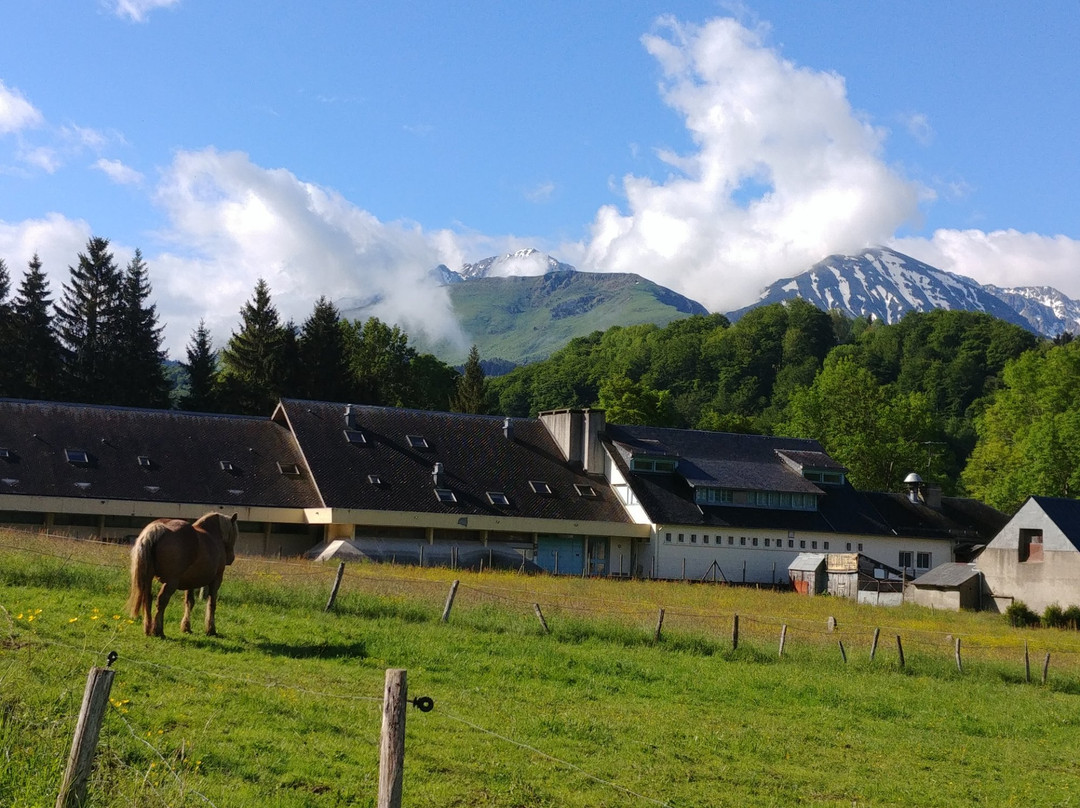 La Taniere des Ours